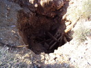 photo thumbnail #12