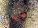 photo thumbnail #13
