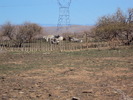 photo thumbnail #15