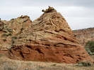 photo thumbnail #13