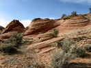photo thumbnail #14
