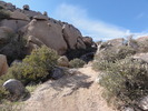 photo thumbnail #7