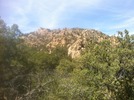photo thumbnail #4