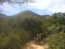 photo thumbnail #5