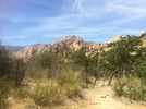 photo thumbnail #12