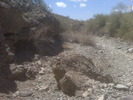 photo thumbnail #1