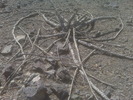photo thumbnail #15