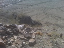 recent photo