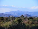 photo thumbnail #1