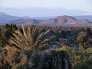 photo thumbnail #9