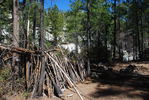 photo thumbnail #8