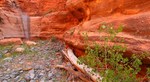 photo thumbnail #9