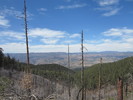 photo thumbnail #8