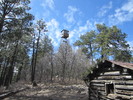 photo thumbnail #10