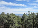 photo thumbnail #14