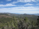 photo thumbnail #15