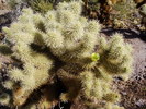 photo thumbnail #10