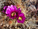 photo thumbnail #12