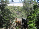 photo thumbnail #4