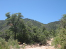 photo thumbnail #6