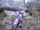 photo thumbnail #15