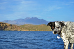 photo thumbnail #7
