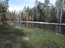 photo thumbnail #8