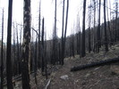 photo thumbnail #9