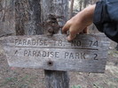 photo thumbnail #12
