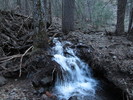 photo thumbnail #13
