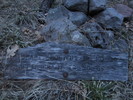 photo thumbnail #15