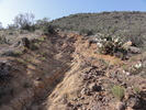 photo thumbnail #4