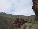 photo thumbnail #7