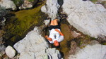 photo thumbnail #15