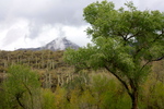 photo thumbnail #9