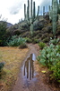 photo thumbnail #5