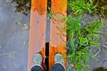 photo thumbnail #4