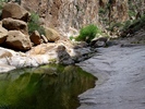 photo thumbnail #14