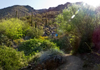 photo thumbnail #6