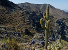 photo thumbnail #15