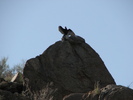 photo thumbnail #11