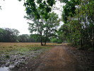 photo thumbnail #1