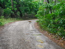photo thumbnail #4