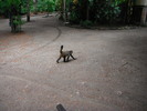 photo thumbnail #10