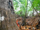 photo thumbnail #11