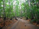 photo thumbnail #12