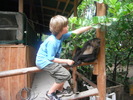 photo thumbnail #8