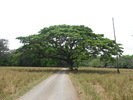 photo thumbnail #14