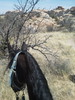 photo thumbnail #5