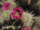 photo thumbnail #1